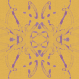 Lace Mango - CASAMONTE