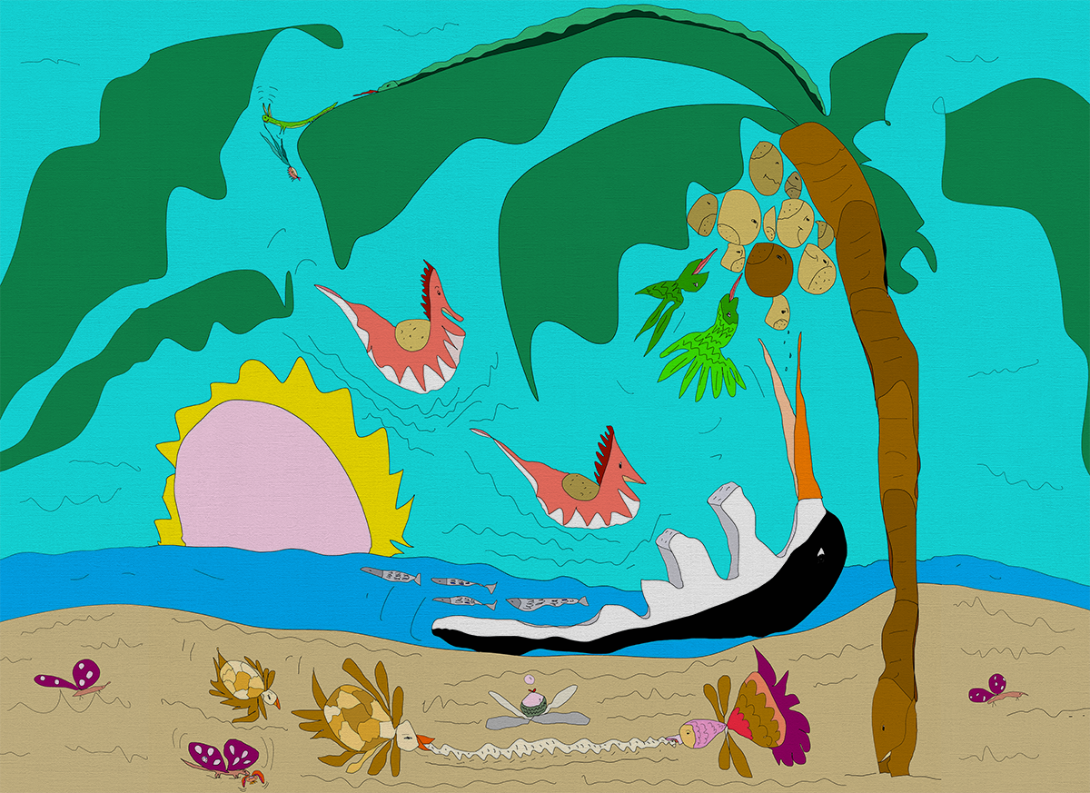 Cara De Coco - CASAMONTE