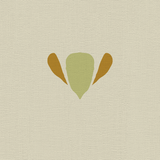 Maiz Beige - CASAMONTE