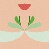 Flores Polo - CASAMONTE