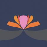 Polo Lotto - CASAMONTE