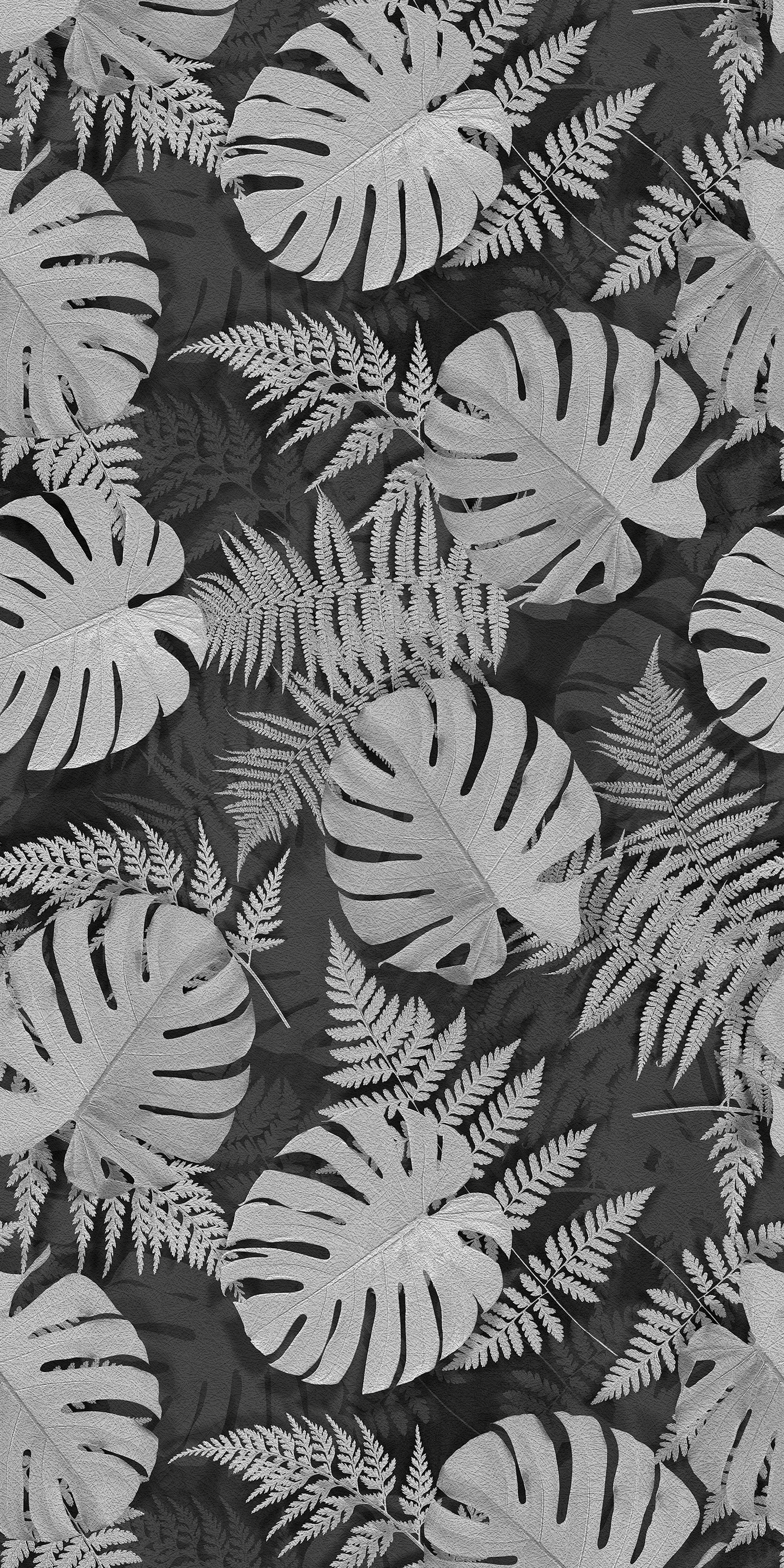 3D Jungle - CASAMONTE