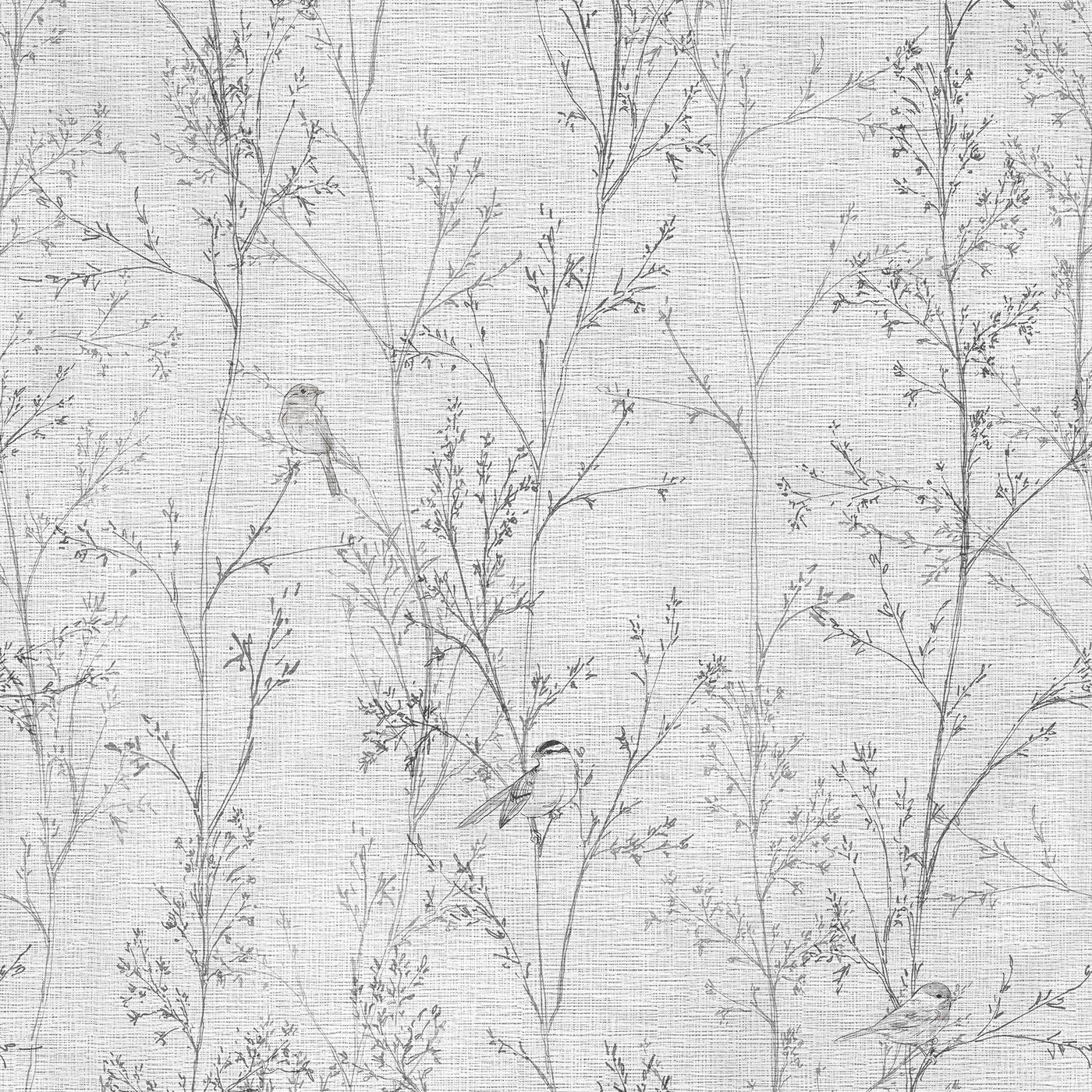 Branches - CASAMONTE