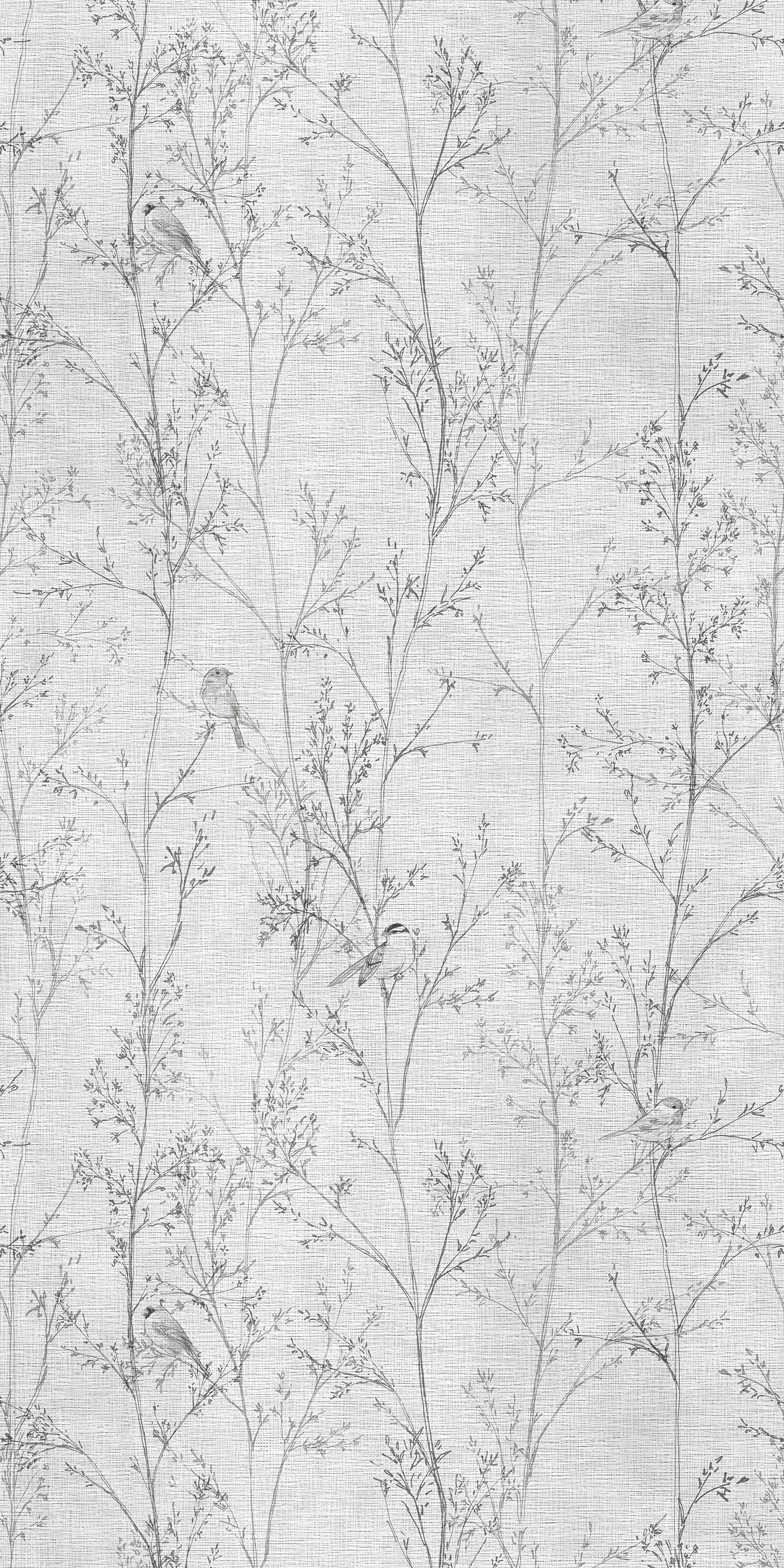 Branches - CASAMONTE