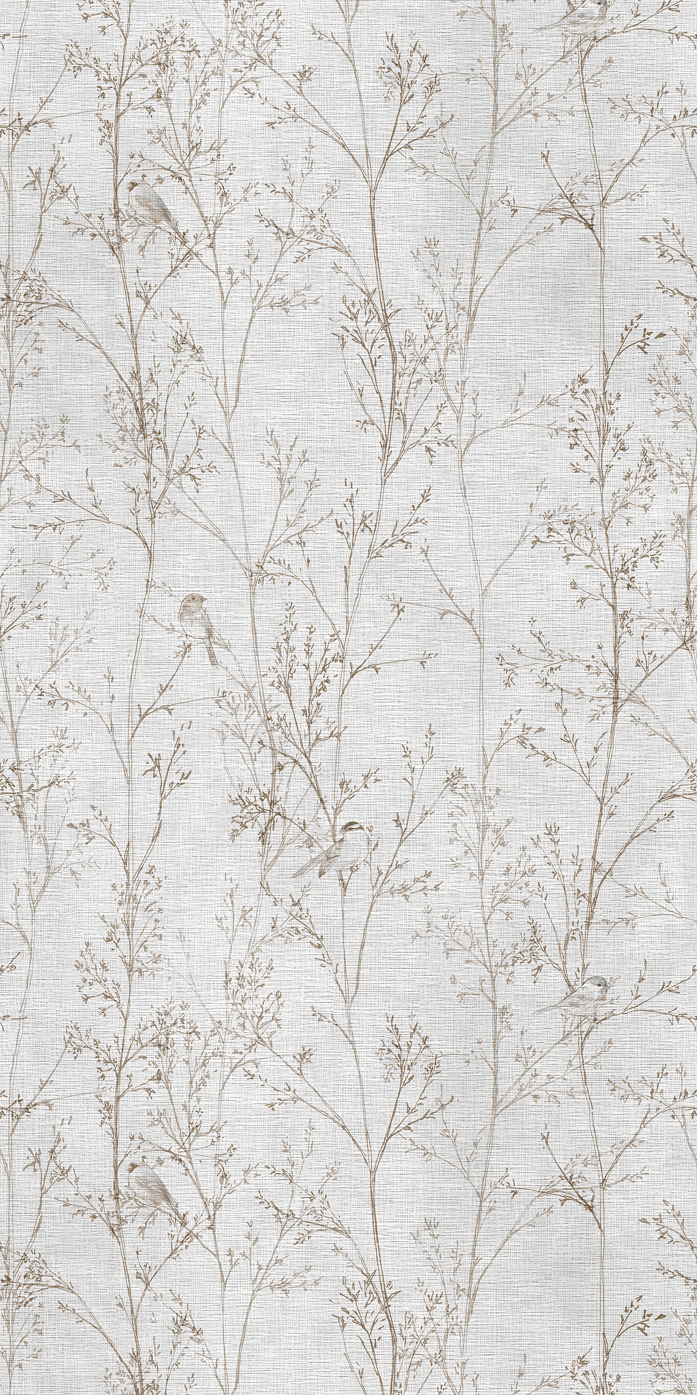 Branches - CASAMONTE