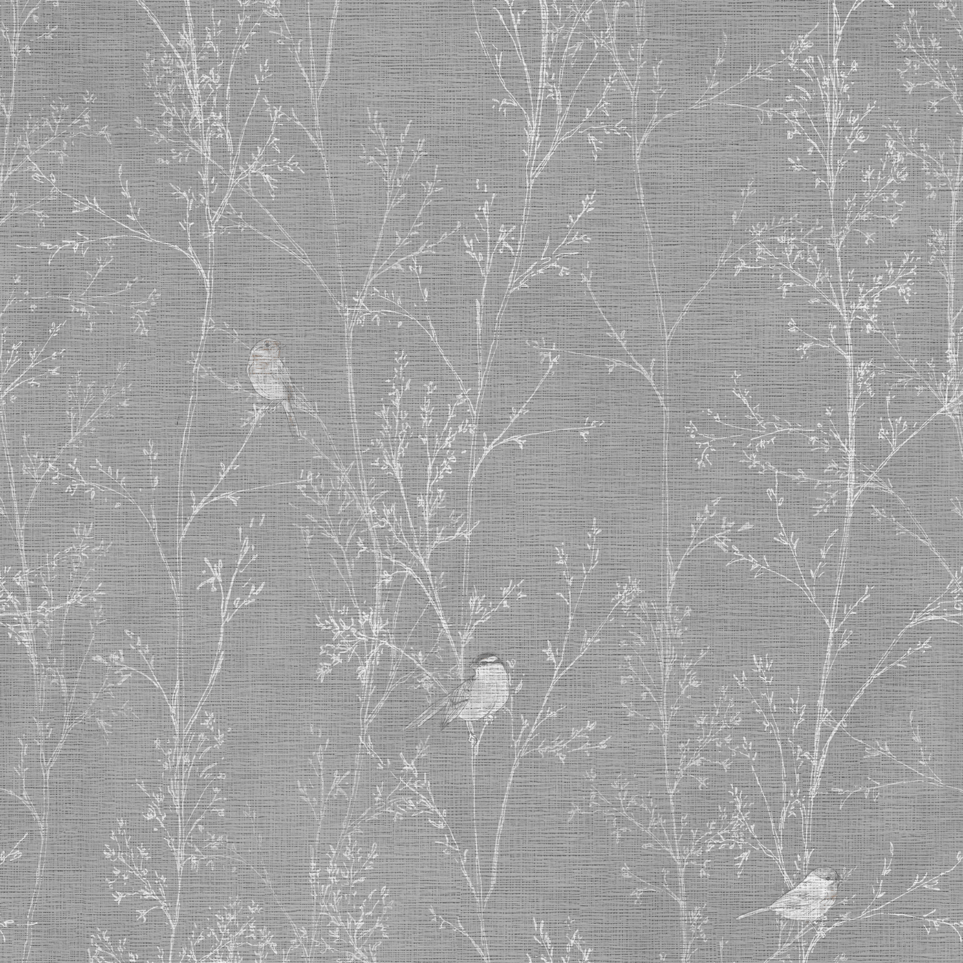 Branches - CASAMONTE