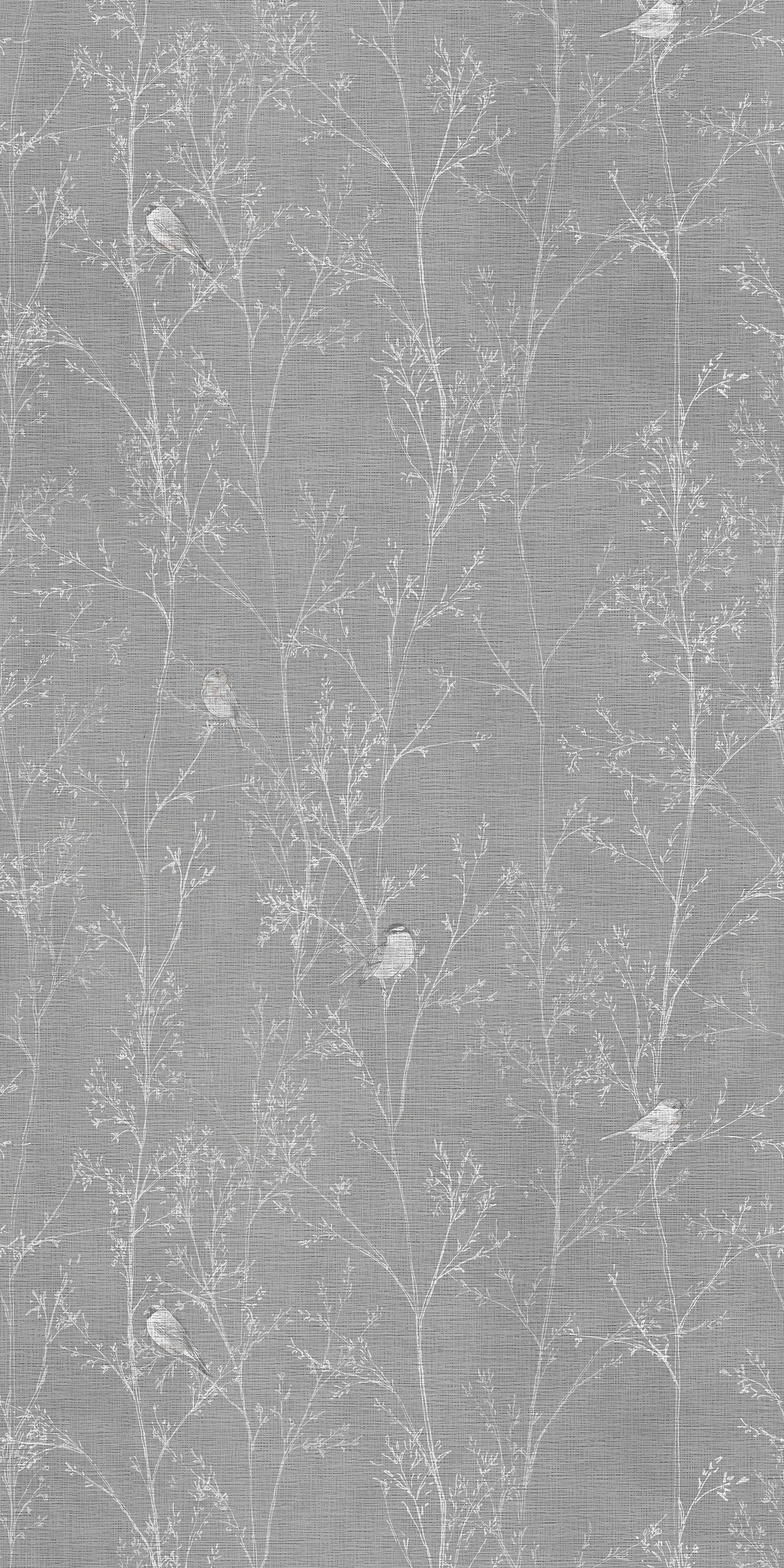 Branches - CASAMONTE