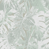 Rio Blanco - CASAMONTE