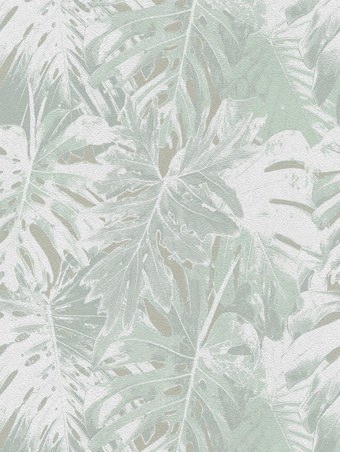 Rio Blanco - CASAMONTE