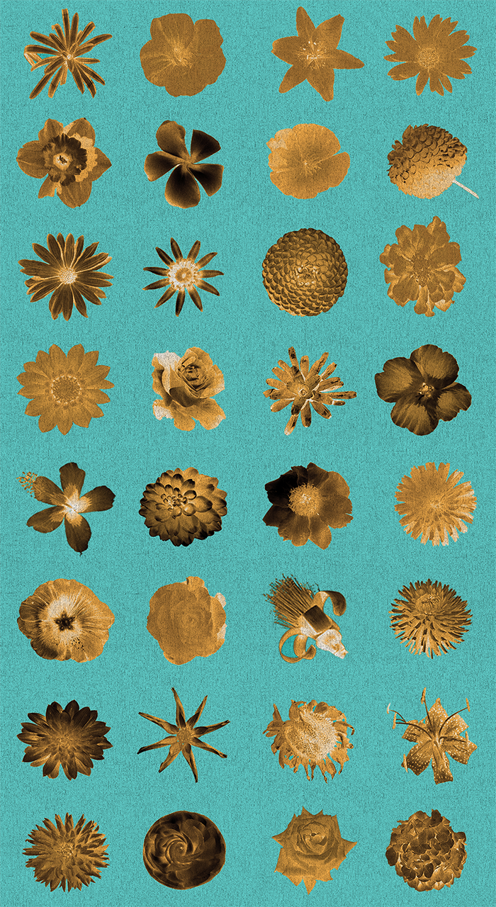 Flowers Flowers and more Flores - Glitter - CASAMONTE