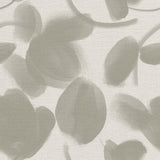Petal Press - CASAMONTE