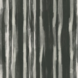 Ethnic Grain - CASAMONTE