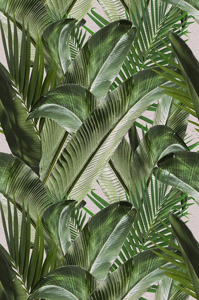 Enchanted Island - CASAMONTE