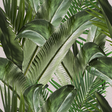 Enchanted Island - CASAMONTE