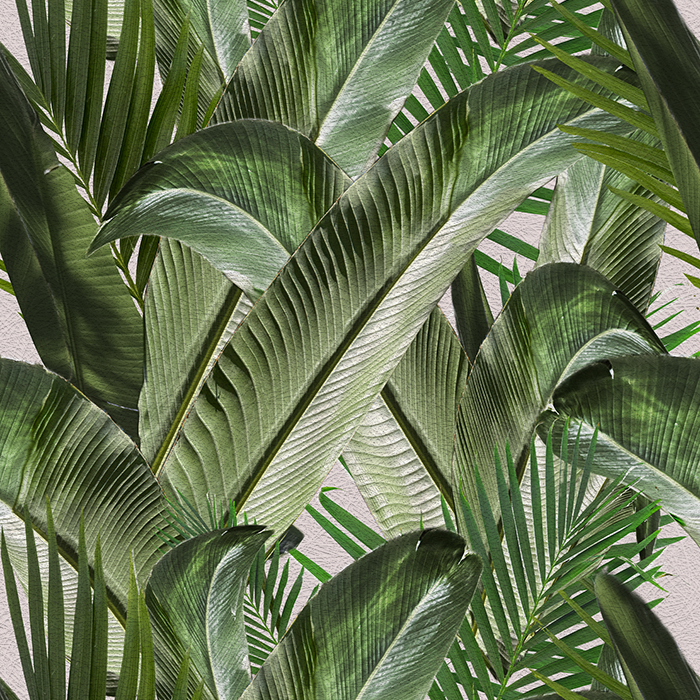 Enchanted Island - CASAMONTE