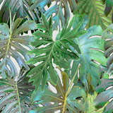 Rio Blanco - CASAMONTE