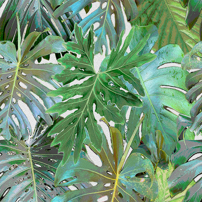 Rio Blanco - CASAMONTE