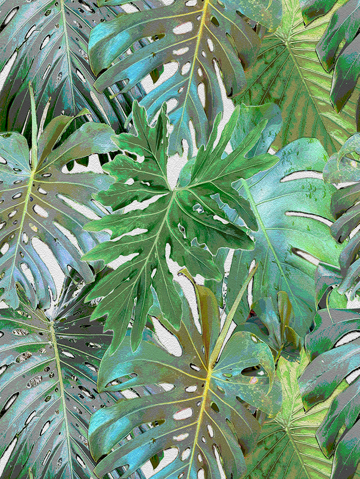 Rio Blanco - CASAMONTE