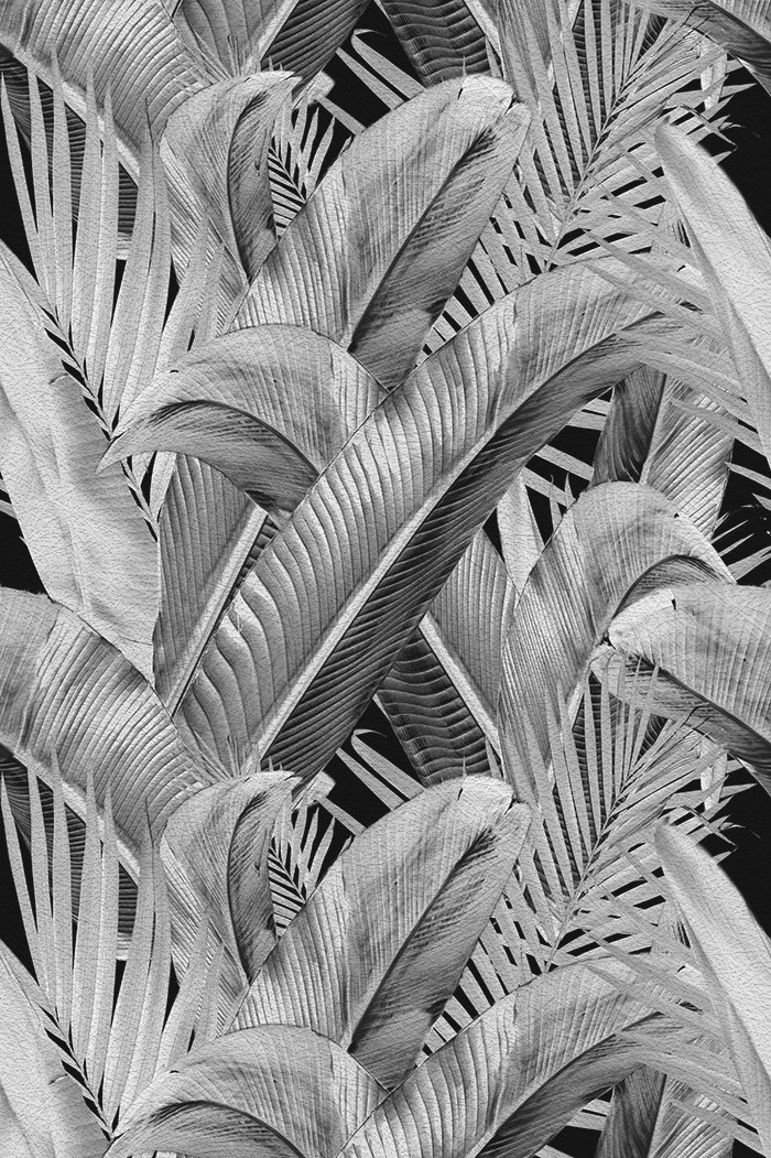 Enchanted Island - CASAMONTE