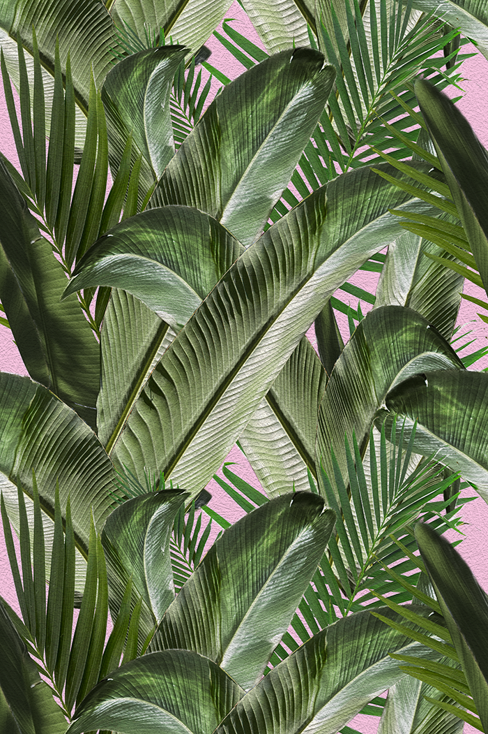 Enchanted Island - CASAMONTE