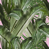 Enchanted Island - CASAMONTE