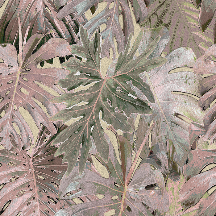 Rio Blanco - CASAMONTE