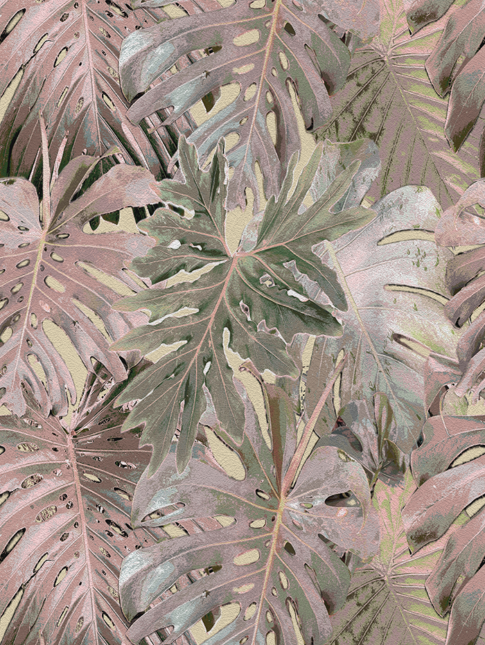 Rio Blanco - CASAMONTE