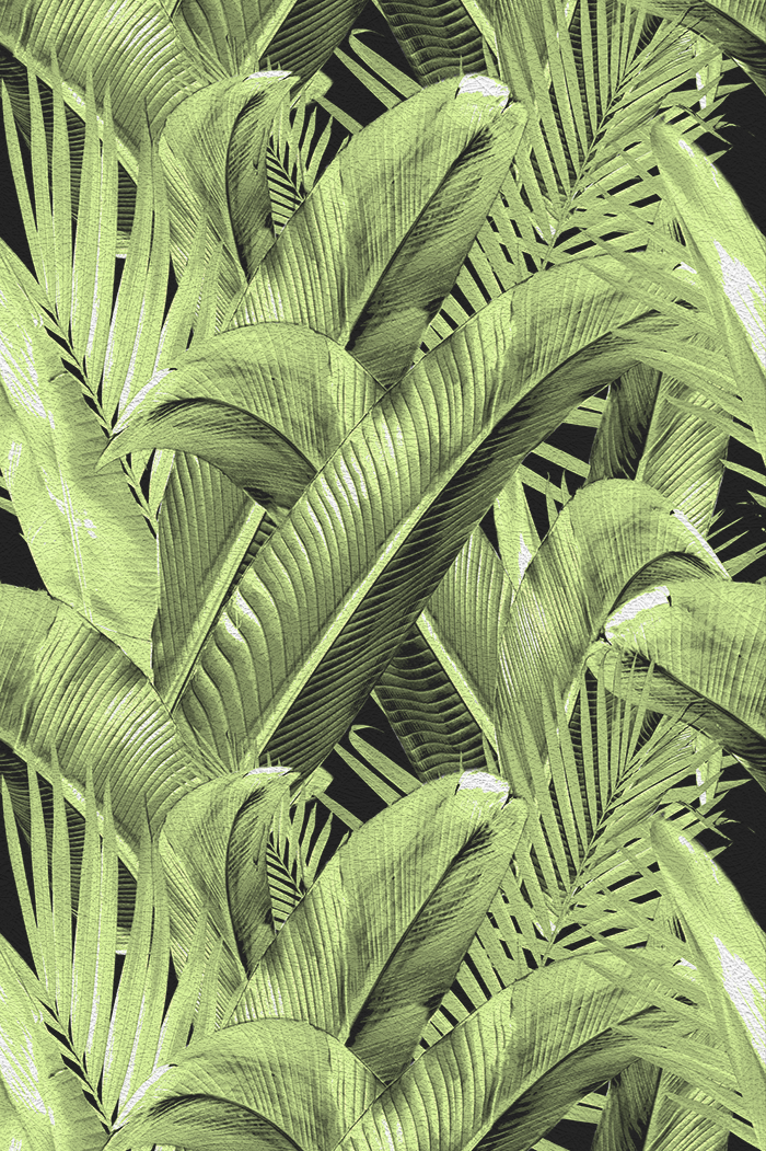 Enchanted Island - CASAMONTE