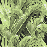 Enchanted Island - CASAMONTE