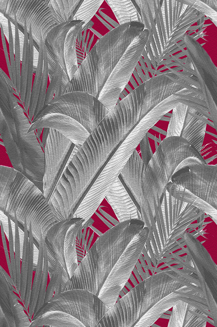 Enchanted Island - CASAMONTE