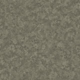 Stucco | Architectural Film - CASAMONTE
