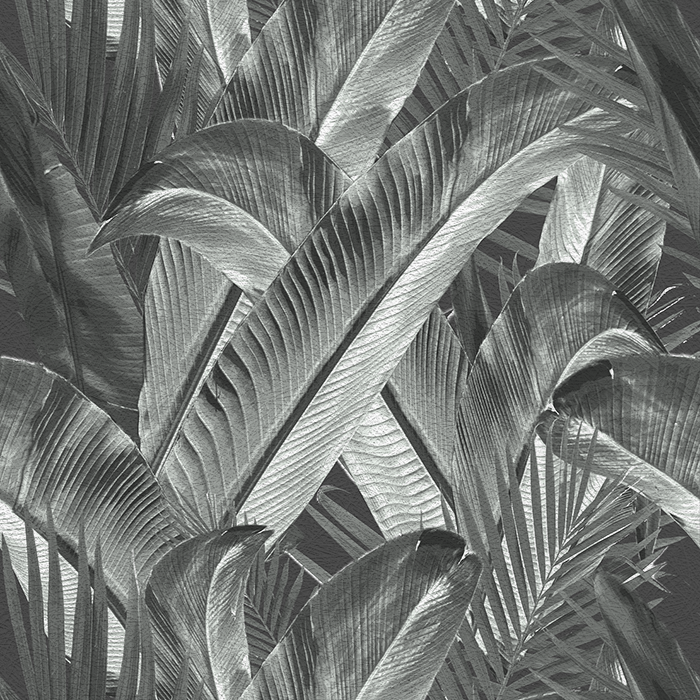 Enchanted Island - CASAMONTE