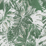 Rio Blanco - CASAMONTE