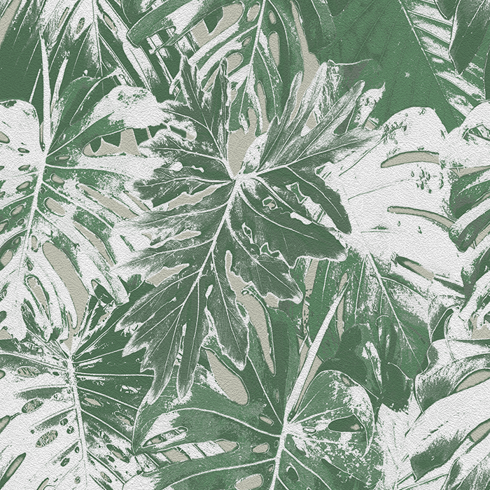 Rio Blanco - CASAMONTE