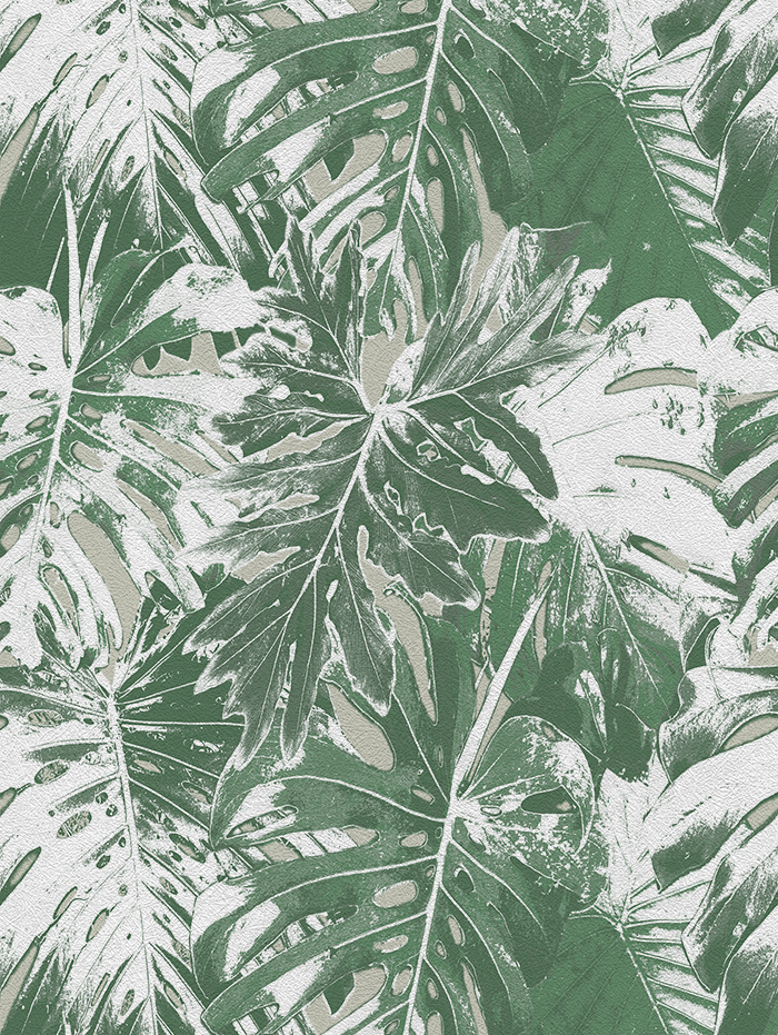 Rio Blanco - CASAMONTE