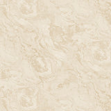 Stone | Architectural Film - CASAMONTE
