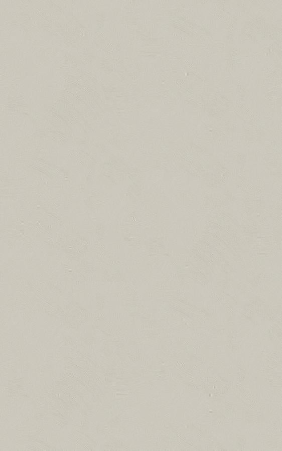 Stucco | Architectural Film - CASAMONTE