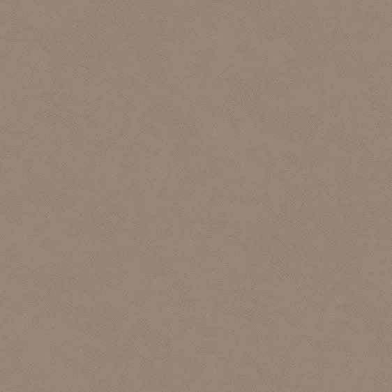 Stucco | Architectural Film - CASAMONTE