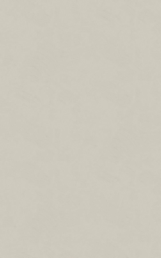 Stucco | Architectural Film - CASAMONTE
