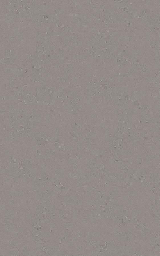 Stucco | Architectural Film - CASAMONTE