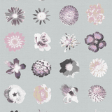 Flowers Flowers and More Flores - CASAMONTE