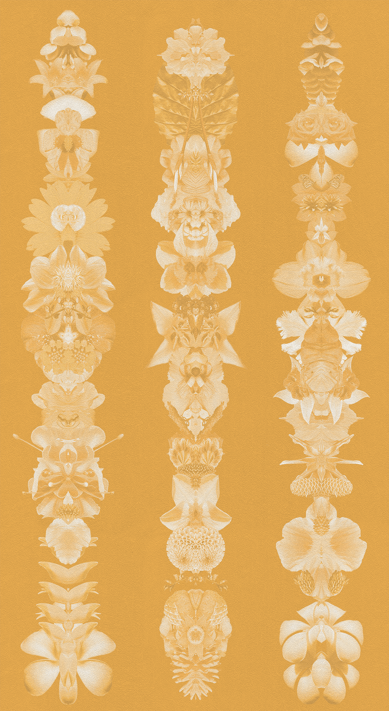 Amuletes for Light - CASAMONTE