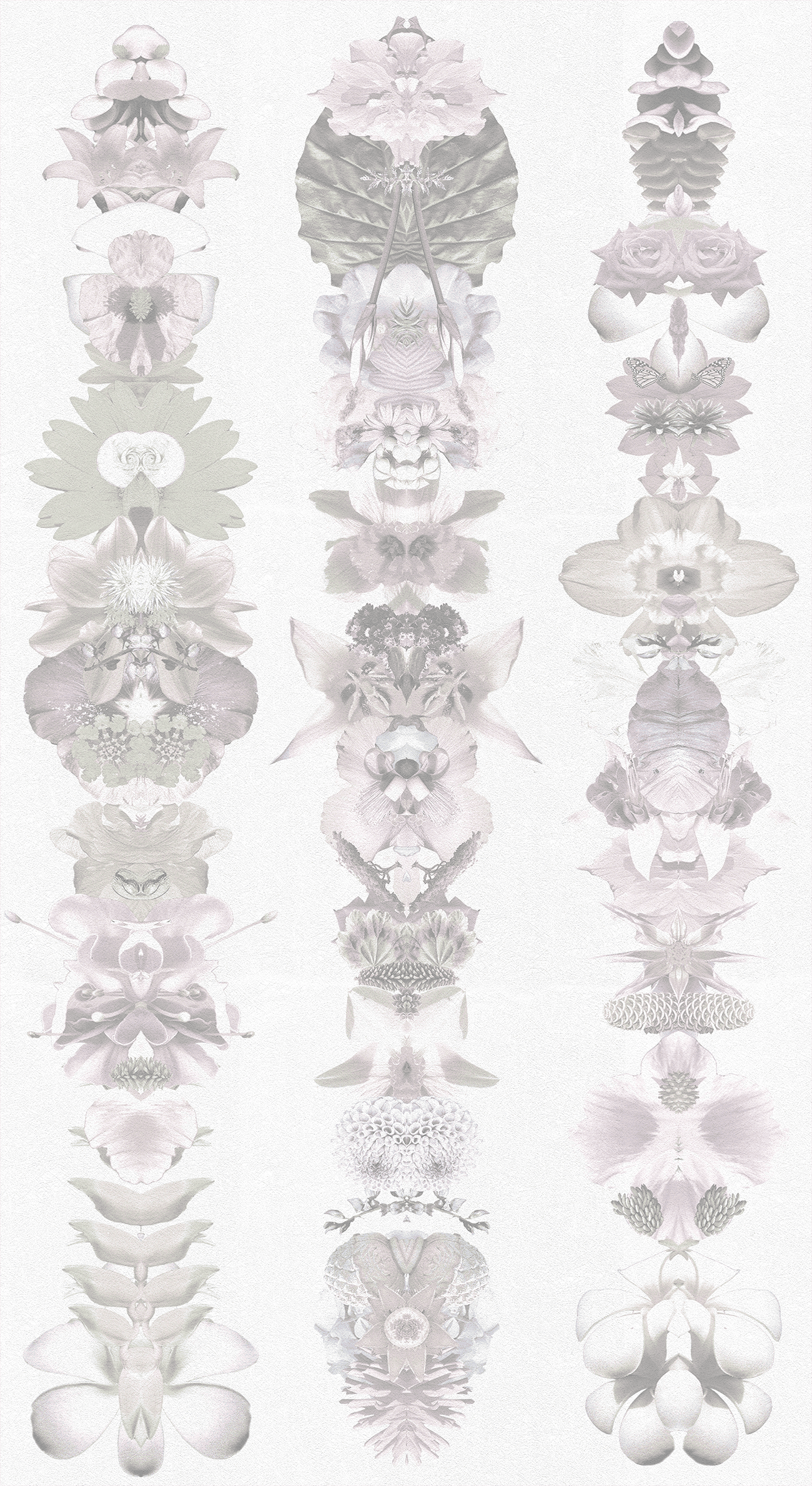 Powder Blue Amuletes for Light Wallpaper