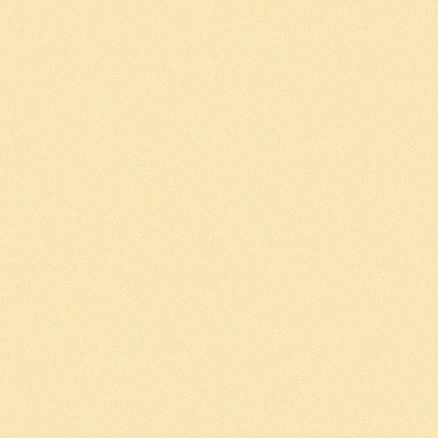 Solid | Architectural Film - CASAMONTE