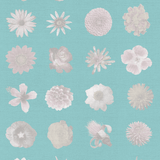 Retro Flowers Flowers and More Flores Wallpaper