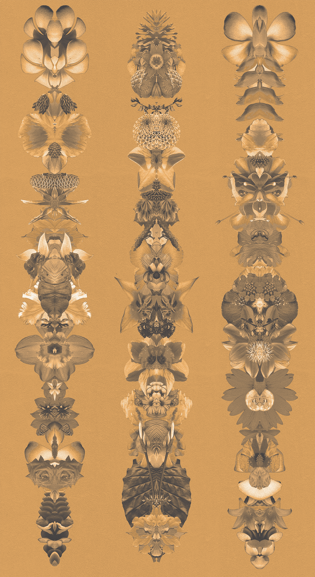 Royal Amuletes for Light Wallpaper