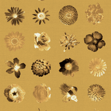 Royal Flowers Flowers and More Flores Wallpaper