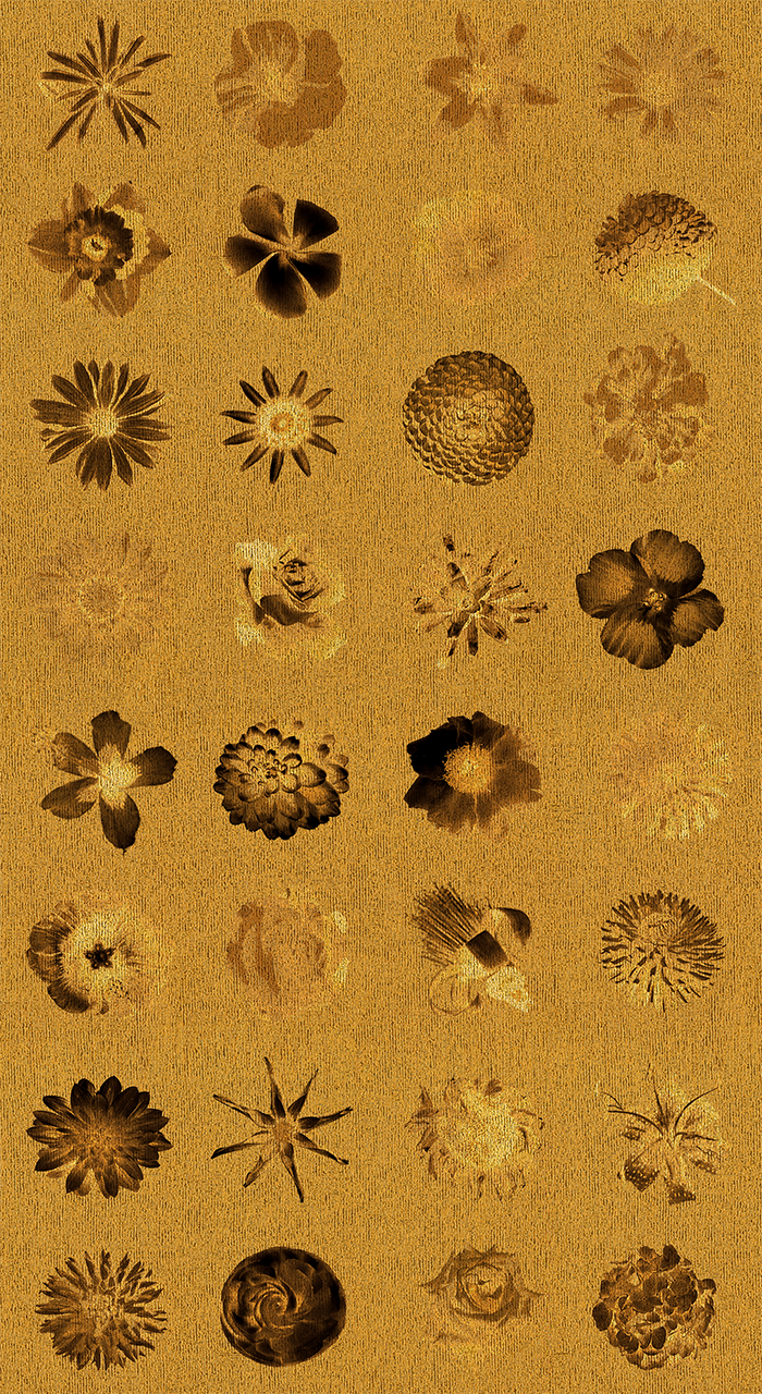 Flowers Flowers and More Flores - Gold - CASAMONTE