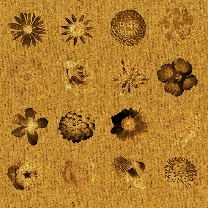 Flowers Flowers and More Flores - Gold - CASAMONTE