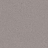 Misty | Architectural Film - CASAMONTE